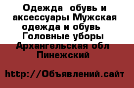 Одежда, обувь и аксессуары Мужская одежда и обувь - Головные уборы. Архангельская обл.,Пинежский 